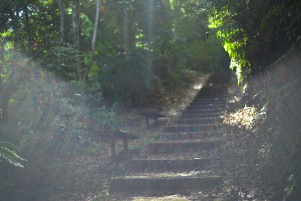 水社大山登山步道 (日月潭青年活動中心上)2194860