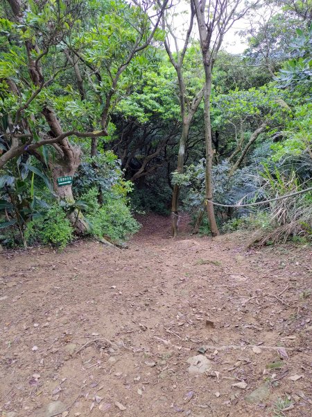 福源山-望湖山-石雲森林步道8字形895141