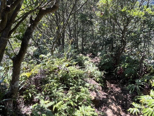 [微笑山線_第九段] 2025_0914 二格山系_皇帝殿東峰2889508