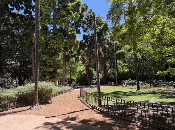 [紐約馬之行-59] 2025_1114 卡洛斯·泰斯植物園-上2953904