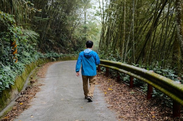 【雲林-嘉義】挑筍古道，車心崙步道897769