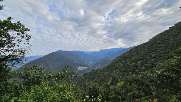 250123-八攀魔王小百岳#073尾寮山。想不到美美兔尾寮山五闖、六登、七衝已攻佔＜台灣森林悠遊網2697989