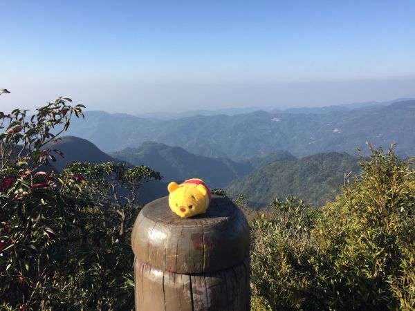 東眼山國家公園110980