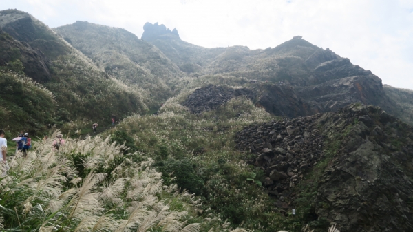 CP值超高的茶壺山步道74213