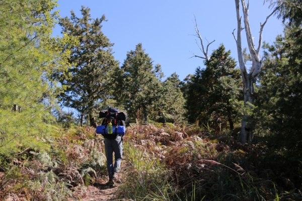 鹿屈山：水漾森林73552