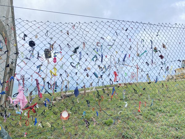 西班牙115公里朝聖之路    2023.10.28-11.32367650