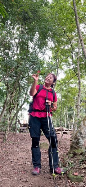 馬那邦山（珠湖登山口）2933967