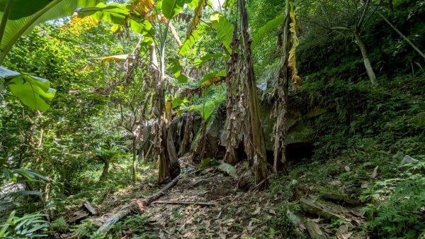 114.06.01溪山百年古圳-太平尾山+聖人崙之旅2801829