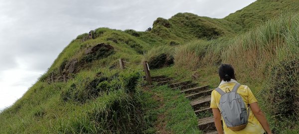 20230729_七星山主峰東峰步道2234439