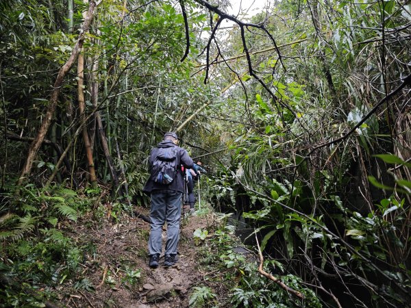 2026_0131 獅球嶺中央砲台2997608