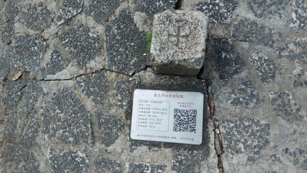 〔內湖三尖 〕忠勇山，鯉魚山，圓覺尖2118081