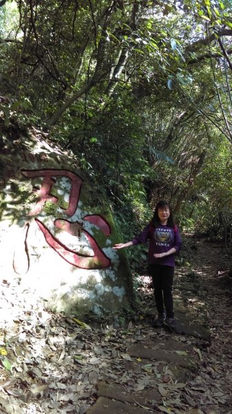 【臺北大縱走 6】象山拇指山南港山九五峰918410