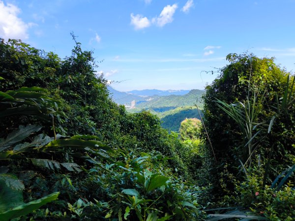 2025-06-15 銀河洞越嶺登山步道2816177