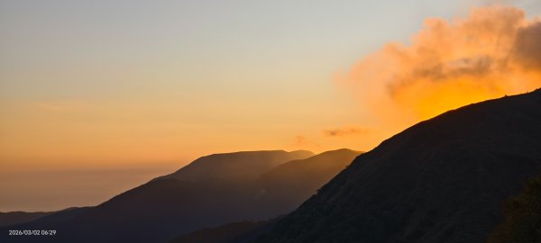 追花是簡單的快樂，賞花是恬淡的幸褔 3/2&73008751