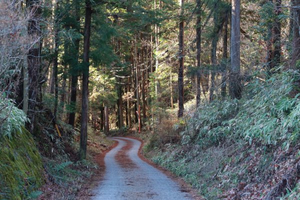 徒步中山道：馬籠峠越え2402672