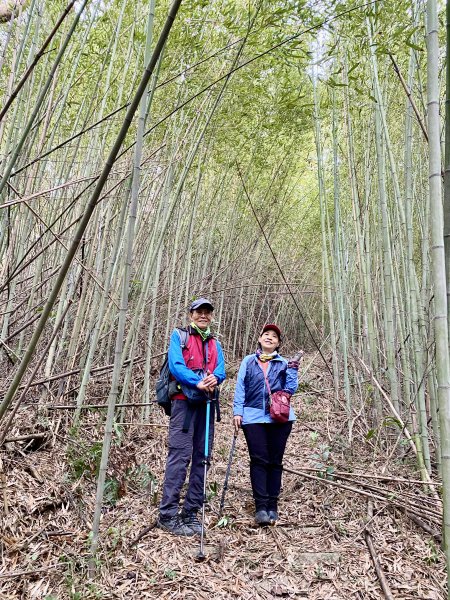 三義銅鑼基石巡禮--伯公龍.大坪凸.模麟坑山.鯉魚石下山.茄苳坑山.老雞隆山.社寮坪山2410089