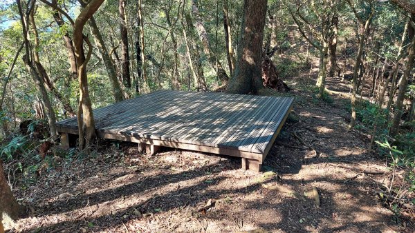 安坑五山縱走2784634