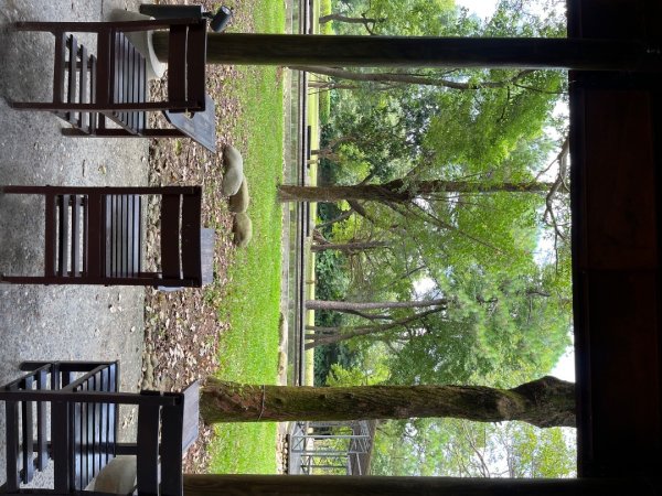 霄裡好風光，運動樂悠遊！2854813