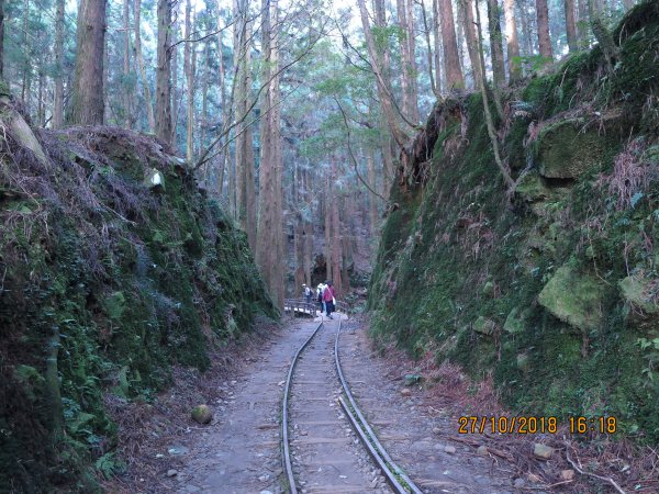 特富野古道449295