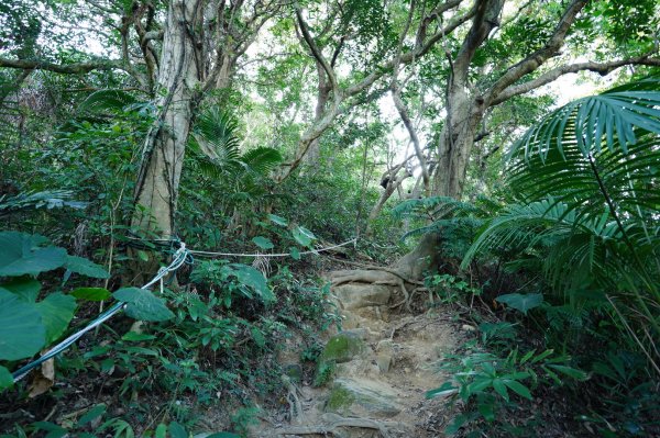 臺北 士林 劍潭山2438771