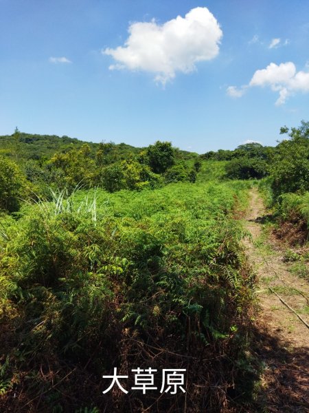 鹿堀坪越嶺古道-大草原-大尖池-大尖山-鹿堀坪古道O行1771799