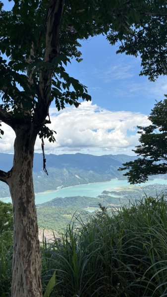 三腳南山2799596