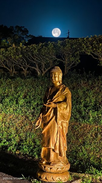 #翡翠水庫壩頂 #日出雲海 #火燒雲 #霞光 #月圓 #松月櫻 #鱷魚島雲海 4/14 & 162760616