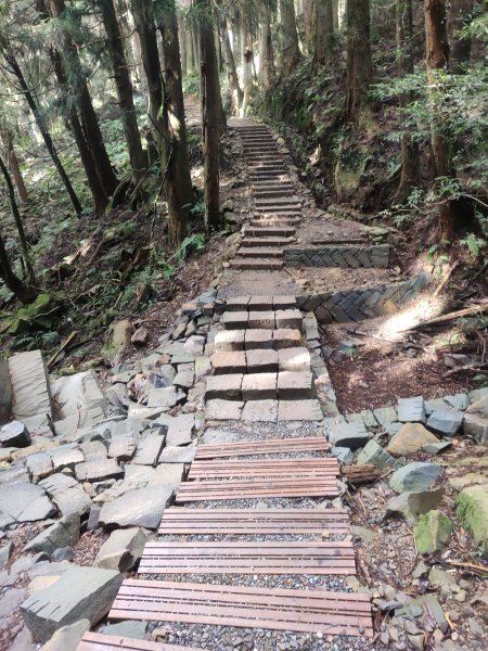 特富野古道2453260