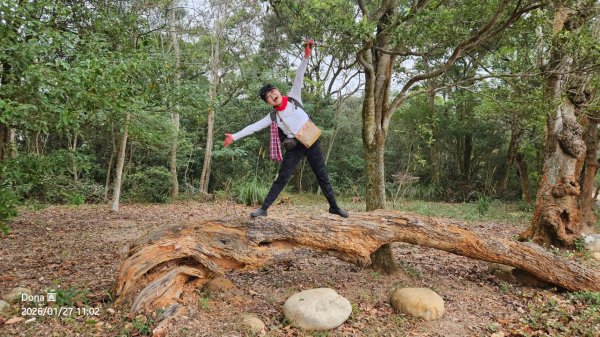 20260127三通嶺山.三義山(大桁茂山).慈濟山.大坪山大O走2989911