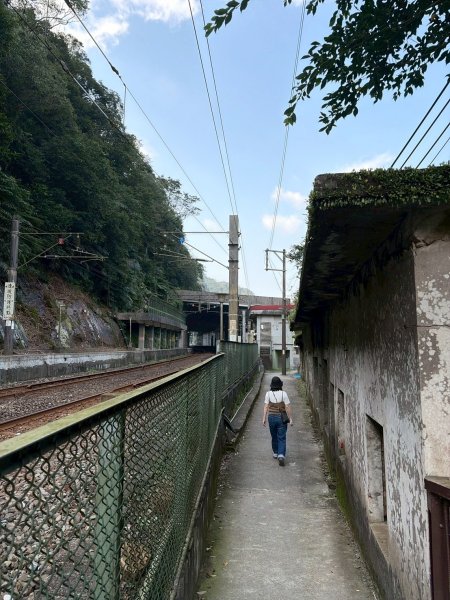 新北 三貂嶺生態友善隧道3004753