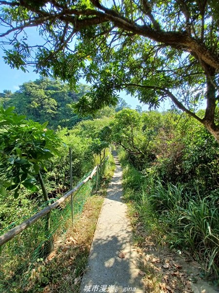 【高雄。大社】假日踏青好去處。 小百岳集起來。 編號75小百岳-大社觀音山1530319