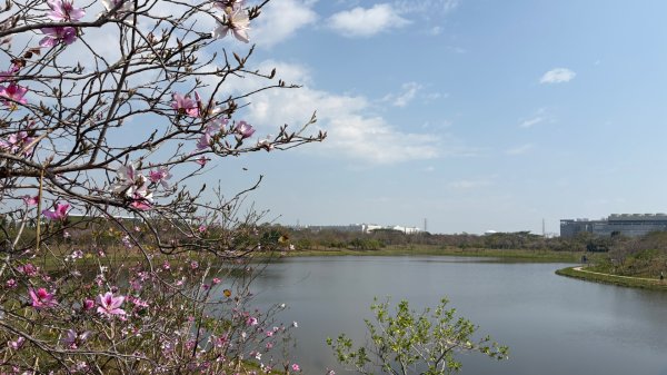 🚴‍♂️ 台南單車慢漫遊3003314