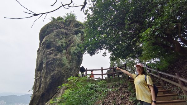 (姨婆趴趴走)第九集:攀登新北鶯歌石，鶯歌郊山步道群縱走(一)2167921