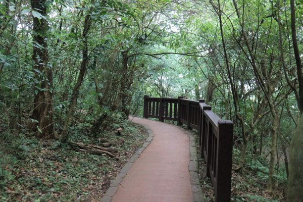 〔陽明山 〕面天山 向天山 向天池 二子坪步道。火山口湖 獨特生物蚌蟲 向天蝦（豐年蝦）2235364