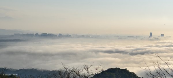 #觀音山 #雲海 #夕陽 #天空之城 #大赤鼯鼠（飛鼠） 2/132999432