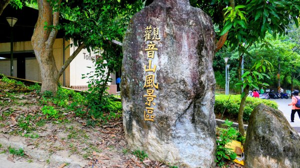 大社觀音山2954767