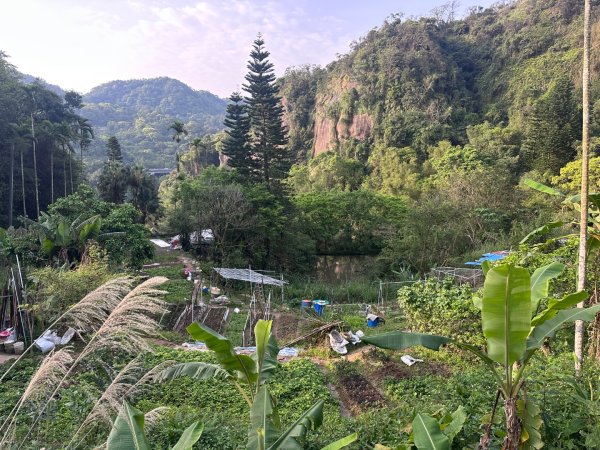 台北大縱走六七段2752090