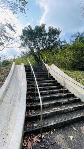 蛇來運轉-蛇子行古道-三爪坑山-蛇子崙山O2706690