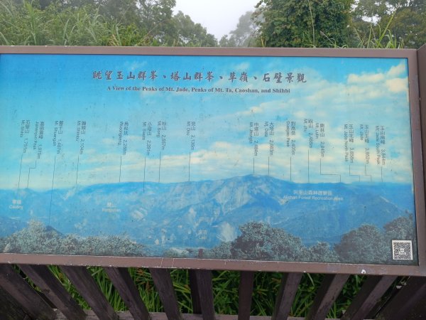 嘉義大凍山2876981