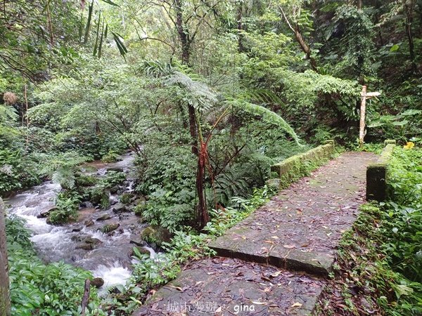 【新竹橫山】綠蔭夾道流水淙淙。2024森遊竹縣。 騎龍古道2616208