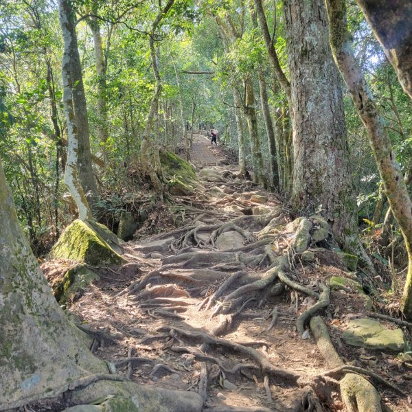 馬那邦山、細道邦山（小百岳）2435564