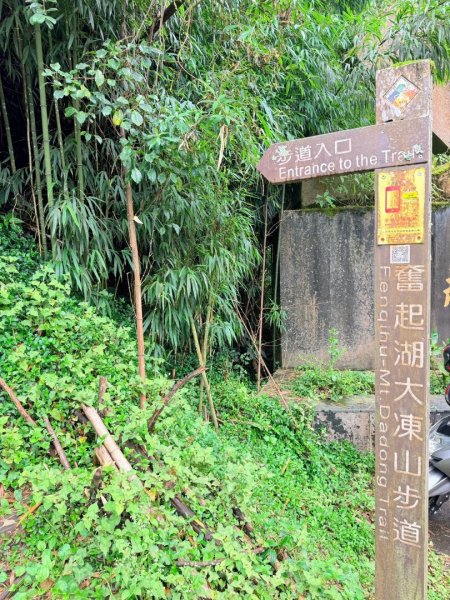 1150730嘉義大凍山之旅3092594