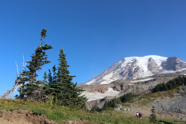 201508美國西部行1雷尼爾山84609