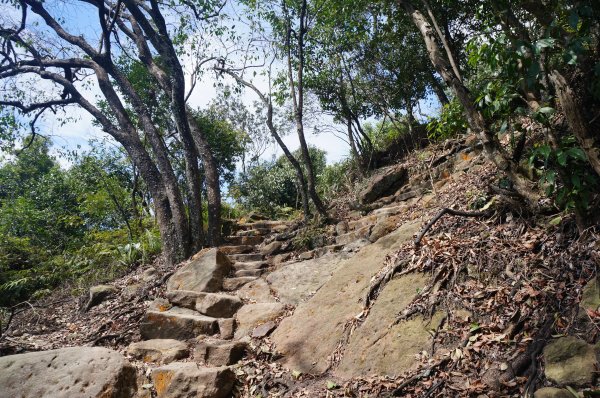 台北 金面山親山步道2063072