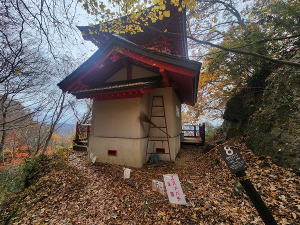20251125登月居山遊袋田瀑布順遊舊上岡小學校2958378