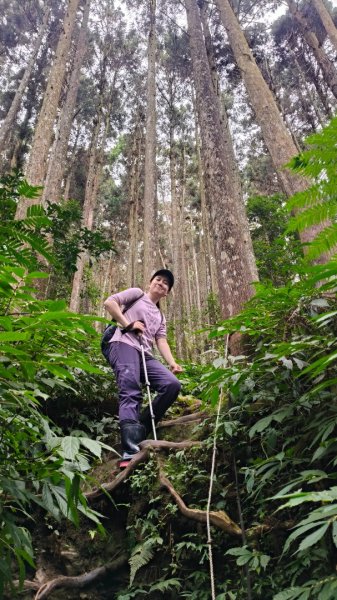 向天湖山11501252988148