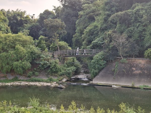 《南投》河岸賞鳥｜竹山下坪生態步道O繞202610173136786