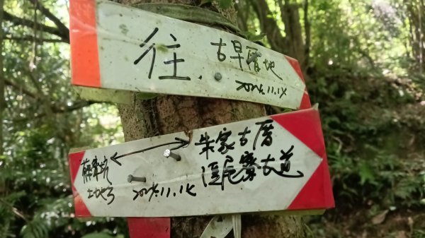 雙溪區溪尾寮古道-藤寮坑古道O型3114489
