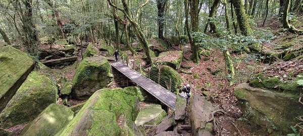 2025/04/04_加里山登山步道2755050