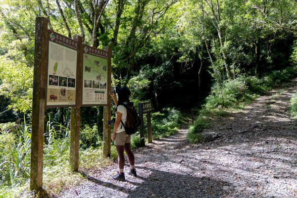 浸水營古道：橫跨中央山脈的百年古徑1897528